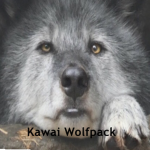 Kawai Wolfpack