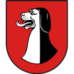Raider Recon Battalion