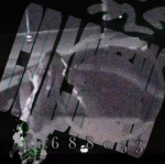 Wyk Clan