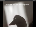 Shadow Ducks