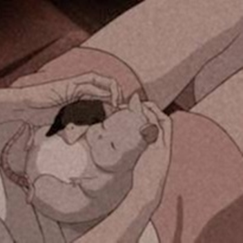 ✧･ﾟ: *✧･ﾟ:*