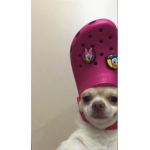 :p_채채