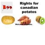 canadian potato's