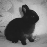 mi princsesa