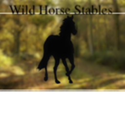 Wild Horse Stables