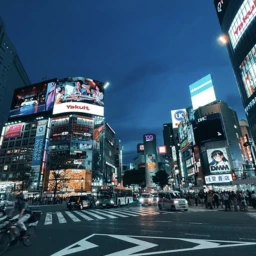 Japan [Showcase] icon