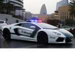Cop Life