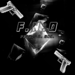 .F.N.O.