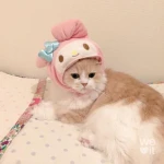 melody Group Thumbnail