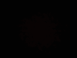 Mimibropro22