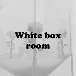 White Box Room