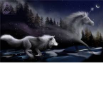 Wolf Pack/Unicorn Squad :D