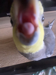 Party ############