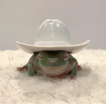 cowboy phogs