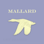 Μallard