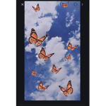 Lexis Butterfly Aesthetics
