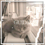 GU1D3Z