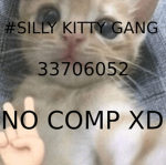 silly kitty gang