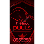 Da hood bull’s
