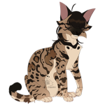 Cats from all clans