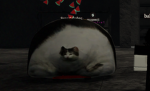 babolimogoprocengaverler