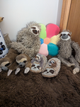 WATERMELONSLOTHY FAN GROUP