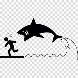 Survival Of The Shark