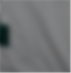 ROBLOXian Air Crops.