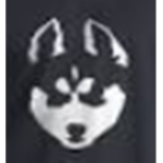 BlueHuskys