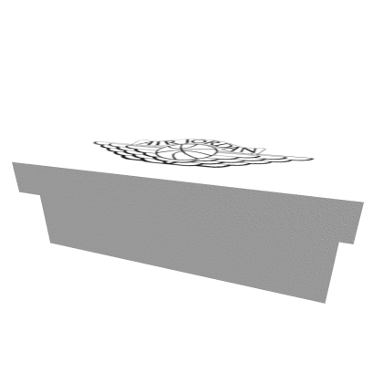 Shoe box (with #### inside)