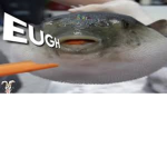 PUFFlSM