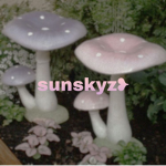 sunskyz
