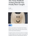 Tickling BANDIT has been caught!