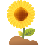 Sunflower Studios
