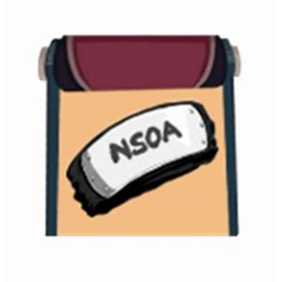 Nsoa fan Hangout!