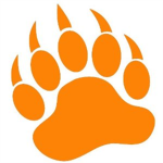 Miami Bears basketball