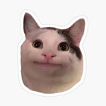 Doctoe
