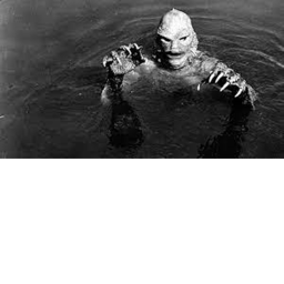 The Black Lagoon