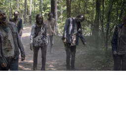 Survie dans les bois...