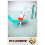 Robloxian International Soccer Federation
