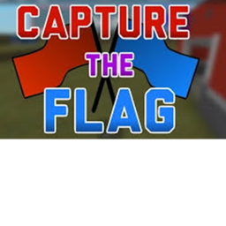 Capture the flag!
