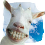 The Crazy Goat Cheeses