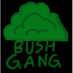 BUSHGANG