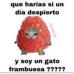 Francisca rblox grupo
