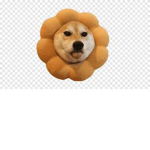 Doggies forever