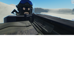 Anti Oder Task Force 141