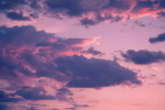 MVSD_Purp
