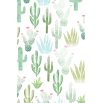 Cactus caroline