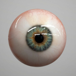 Eye Doctors