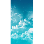 LetTheBlueBirdsFly